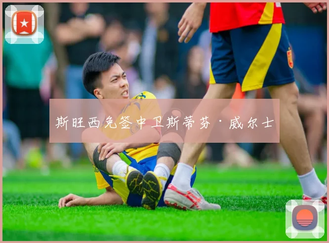 斯旺西免签中卫斯蒂芬·威尔士