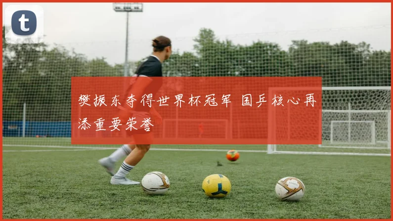樊振东夺得世界杯冠军 国乒核心再添重要荣誉