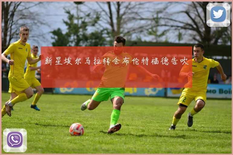 新星埃尔马拉转会布伦特福德告吹
