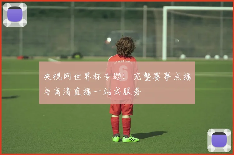 央视网世界杯专题：完整赛事点播与高清直播一站式服务