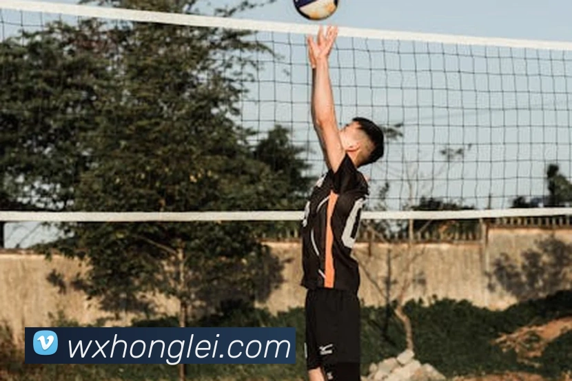 mksports官网登录入口平台生态图